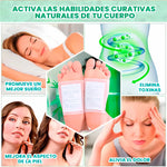 Parches Kinoki| Limpia tu cuerpo naturalmente mientras duermes W 😴🦶